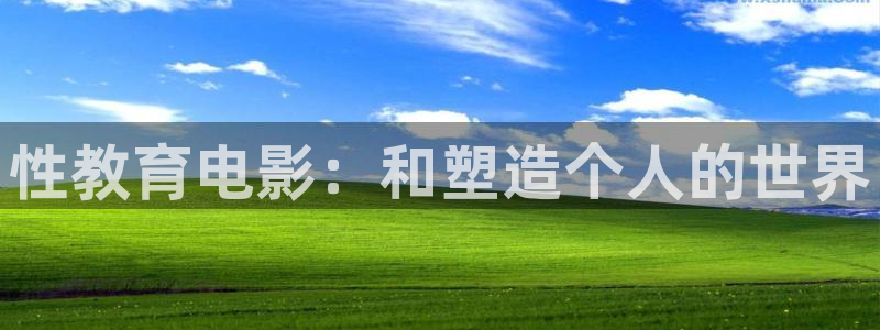 新宝5测登录