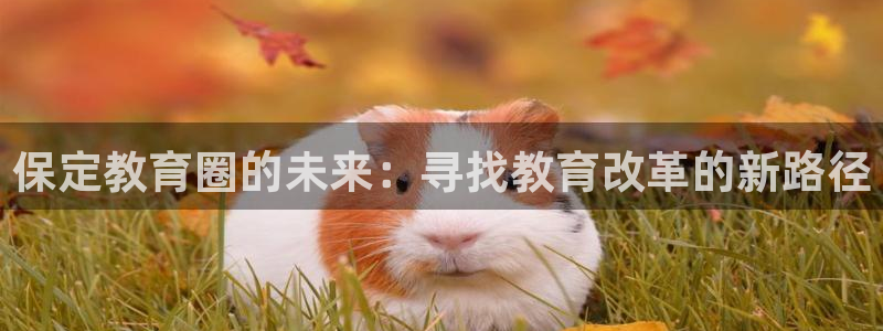 新宝5娱乐然
