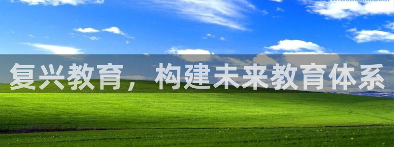 新宝5电脑登录网址