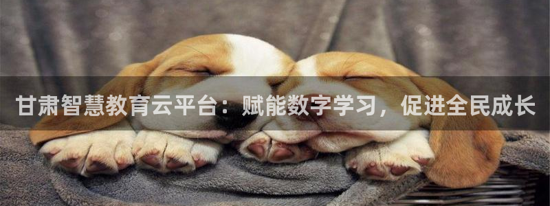 新宝5娱乐方