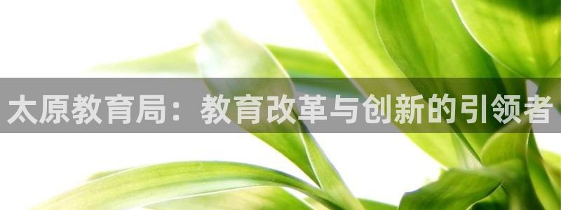 新宝5平棋牌
