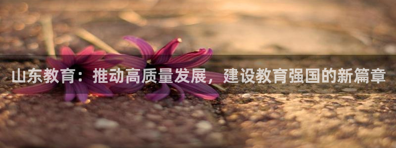 新宝5娱乐平台