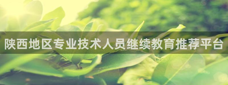新宝5手机平台登陆