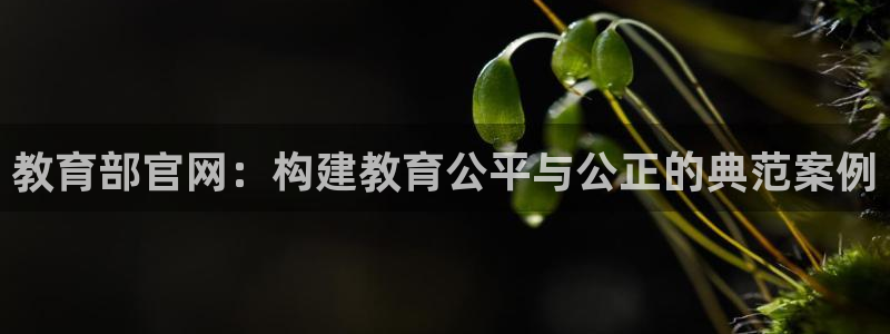 新宝5下载网址