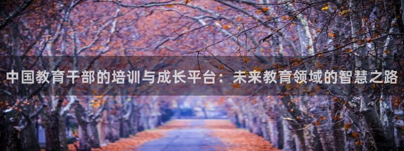 新宝6霸哥5