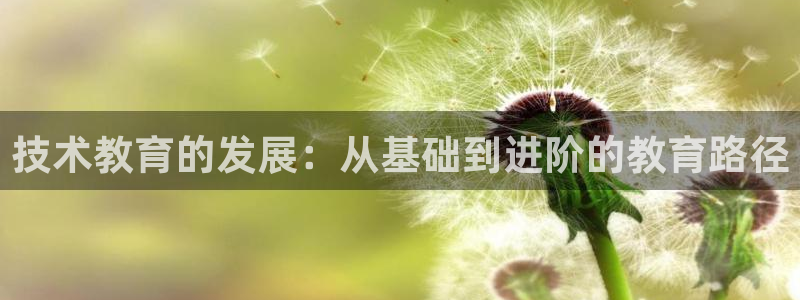 新宝5下载到桌面