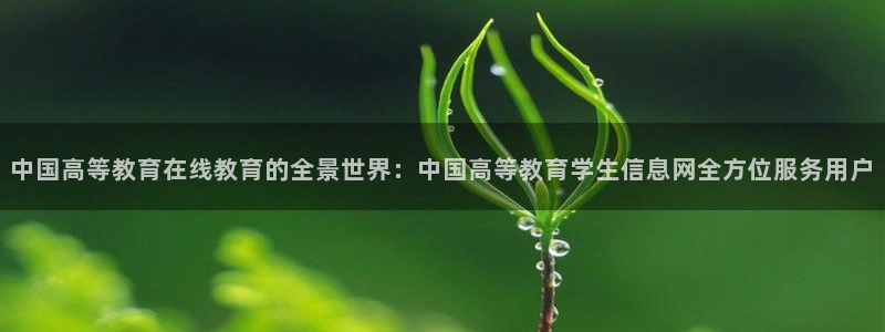 新宝5测速登陆