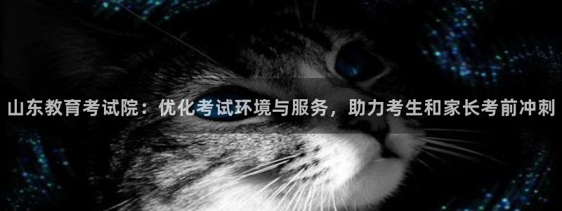 新宝5下载到桌面
