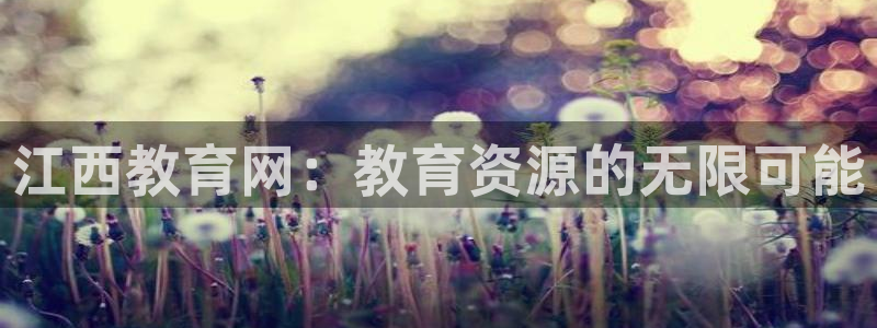新宝5手机app