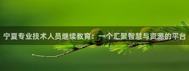 新宝5下载软件