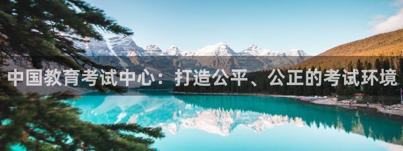 新宝股东瞧听2 5 5