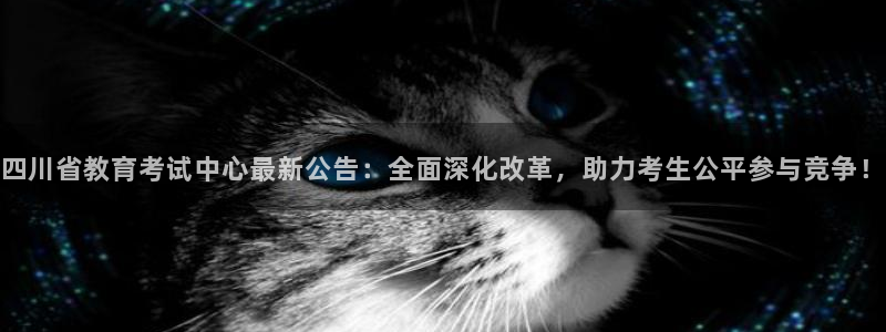 菲律宾新宝5老板