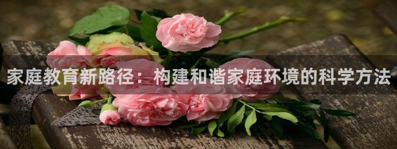 新宝5的网址
