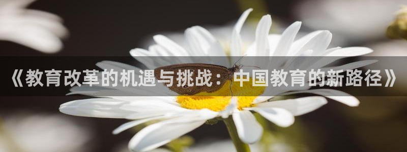 新宝5娱乐然