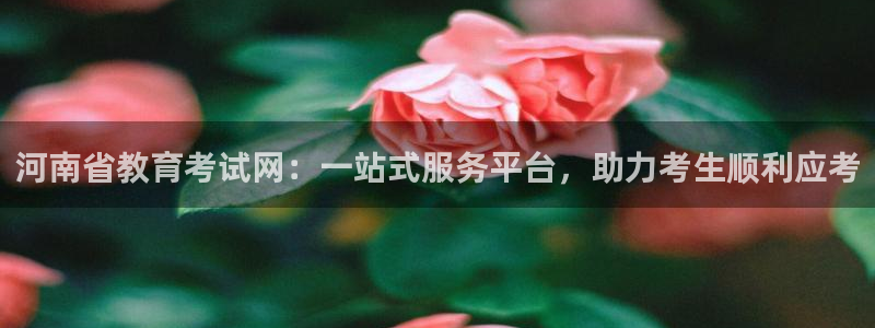 新宝5系列