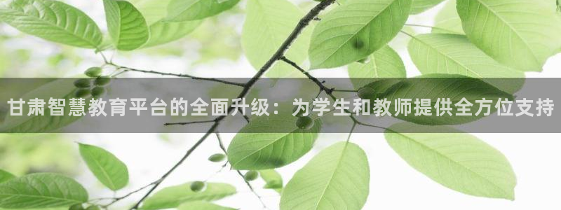 新宝5测速下载