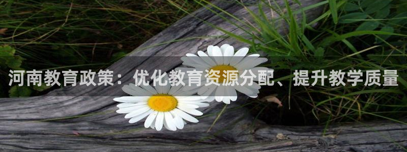 新宝5网