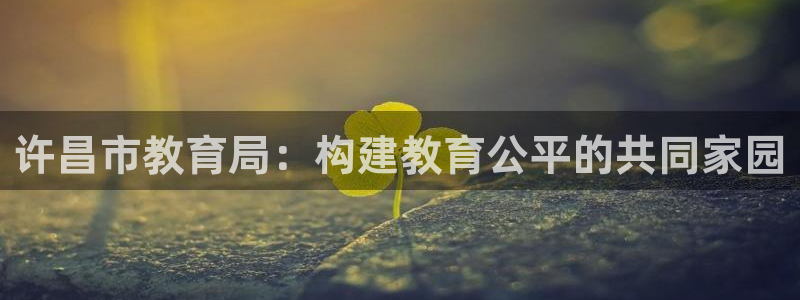新5宝