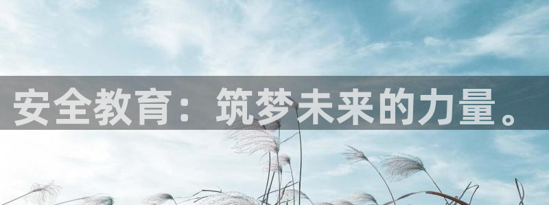 新宝5 - 测速登陆