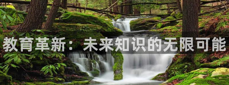 新宝5官网app