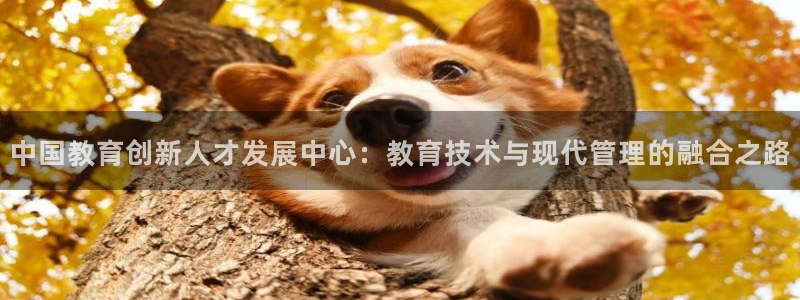 有人知道新宝5么