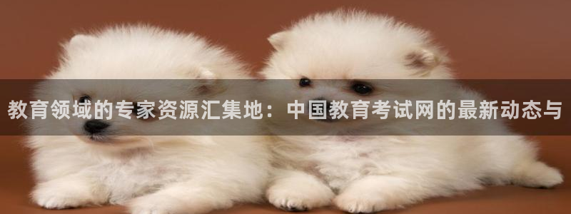 新宝5官网