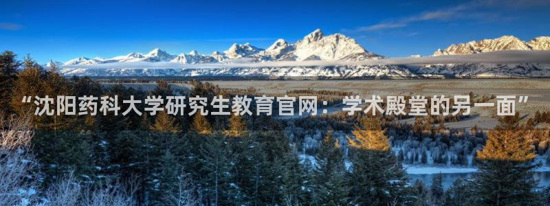 菲律宾新宝5老板