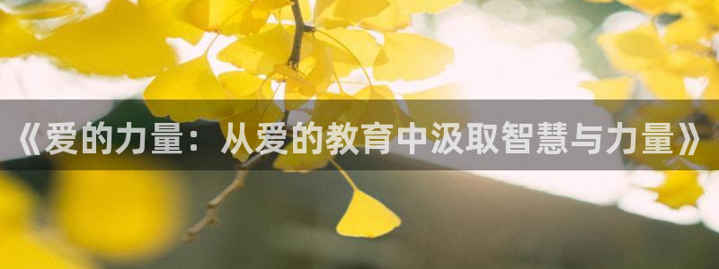 新宝5 - 测速登陆