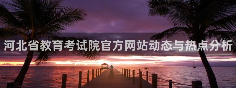 新宝股东张听2 5 5