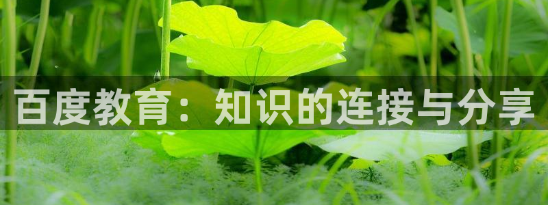 新宝5彩票平台登陆