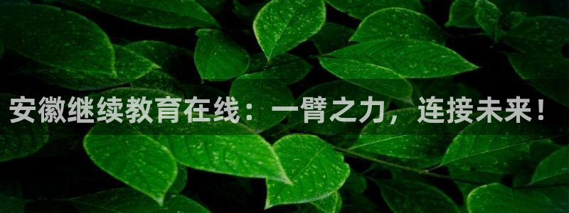 新宝股东瞧听2 5 5