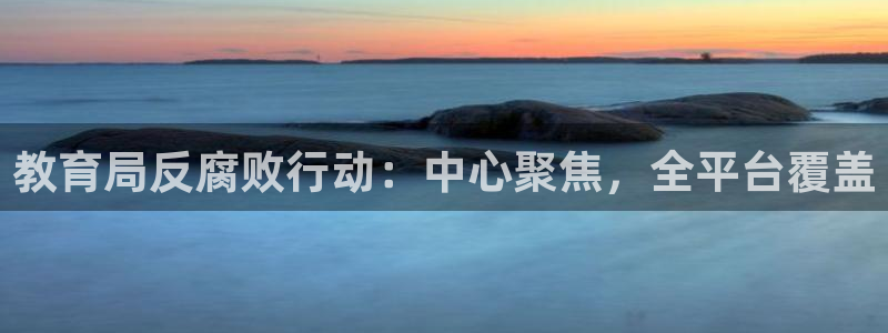 新宝堂新会陈皮5年