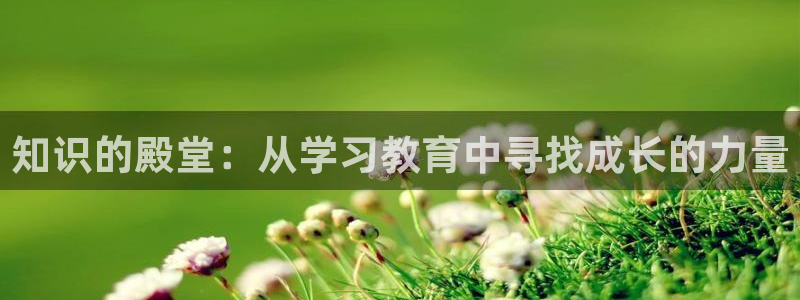 新宝5苹果手机下载