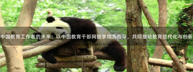 有人知道新宝5么