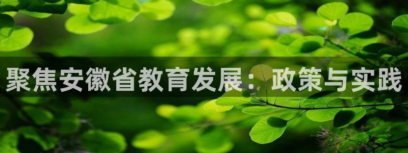 新宝5苹果手机下载