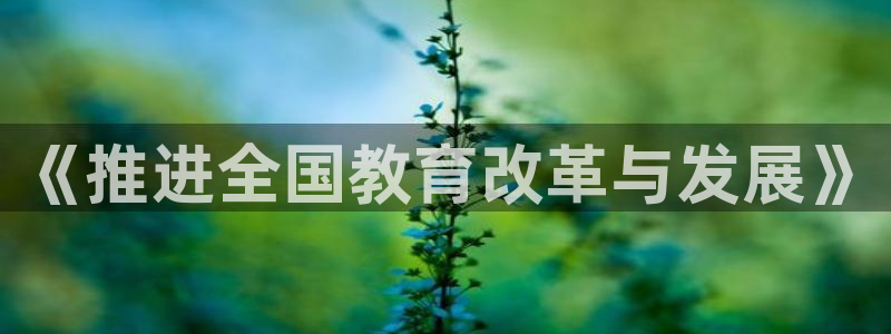 新宝5总代