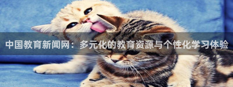 新宝5 代理