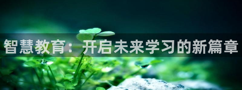 新宝5是什么样子的