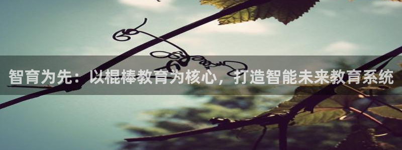 新宝5娱乐然